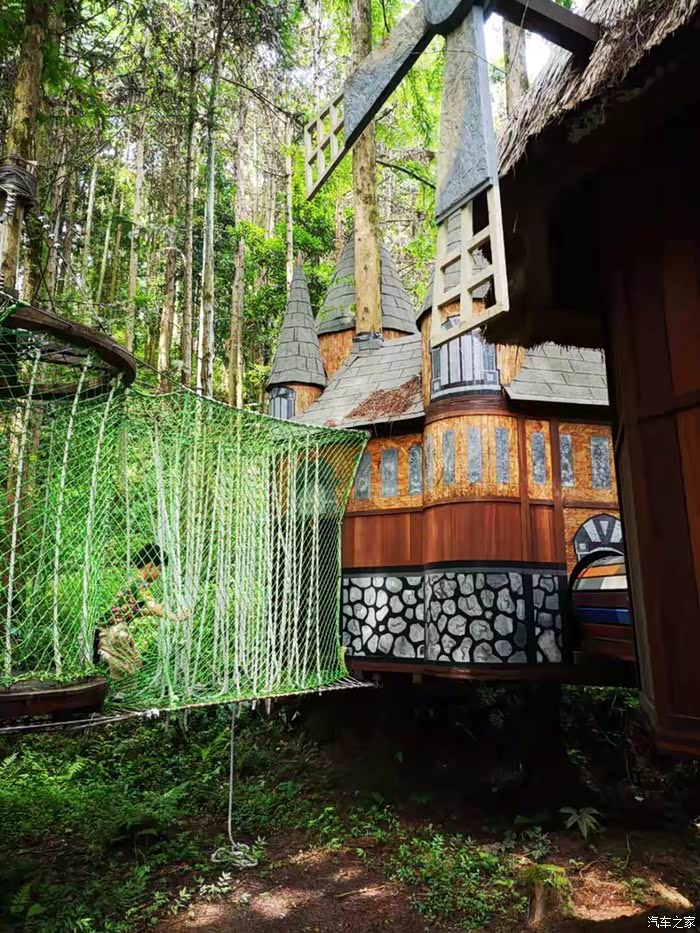 安徽自由家的树屋初体验