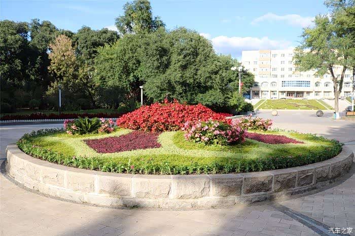 各种颜色的大花坛