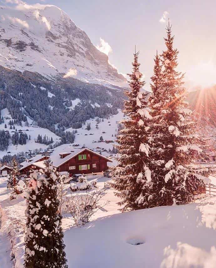 生命中剩下的时光想去瑞士看一场雪