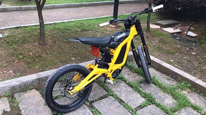 来看看有人玩过虬龙轻蜂吗