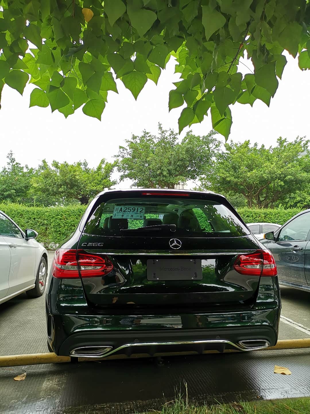 【图】祖母石绿c260旅行版,国五捡漏!_奔驰c级论坛_汽车之家论坛