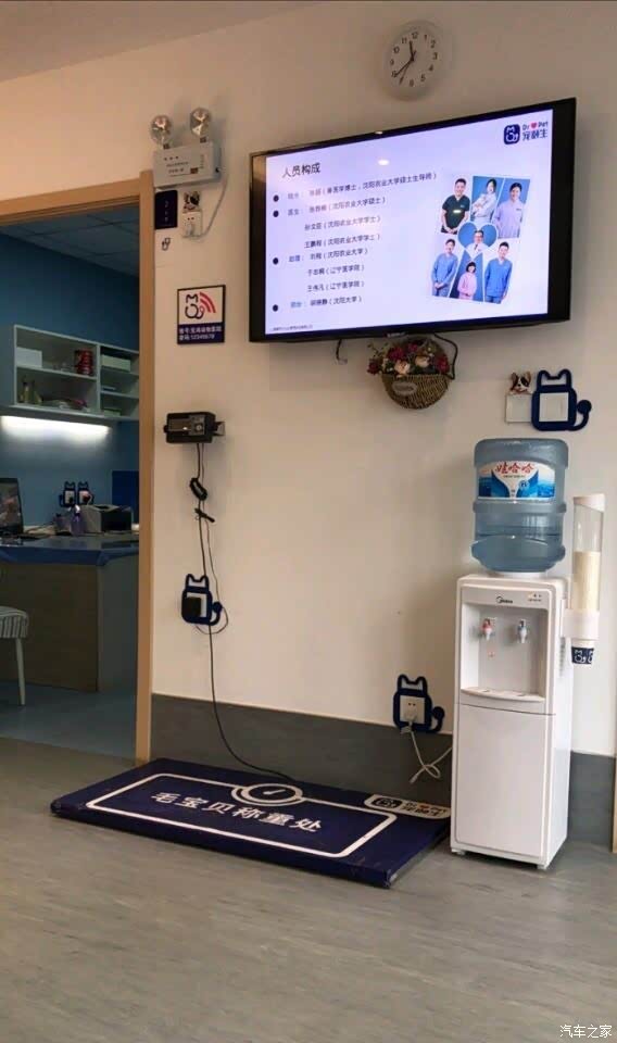 宠物医院打针剂