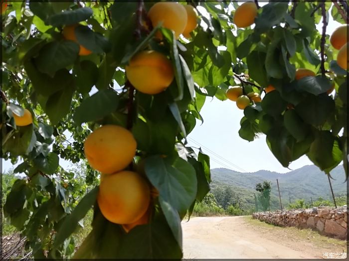 泰安马蹄峪民俗村图片