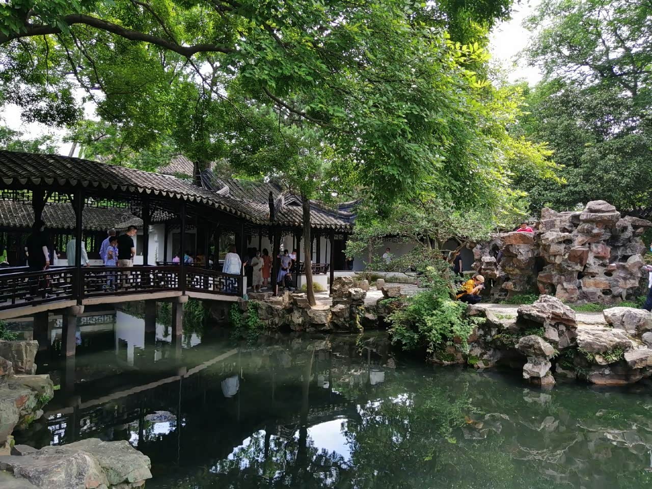 夏游苏州拙政园 亭台轩榭的布局,假山池沼的配合