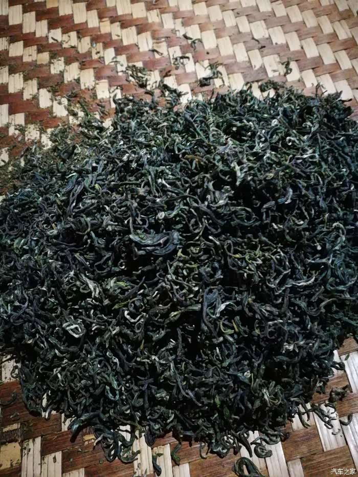 平武豆叩体验羌族特色——采茶.