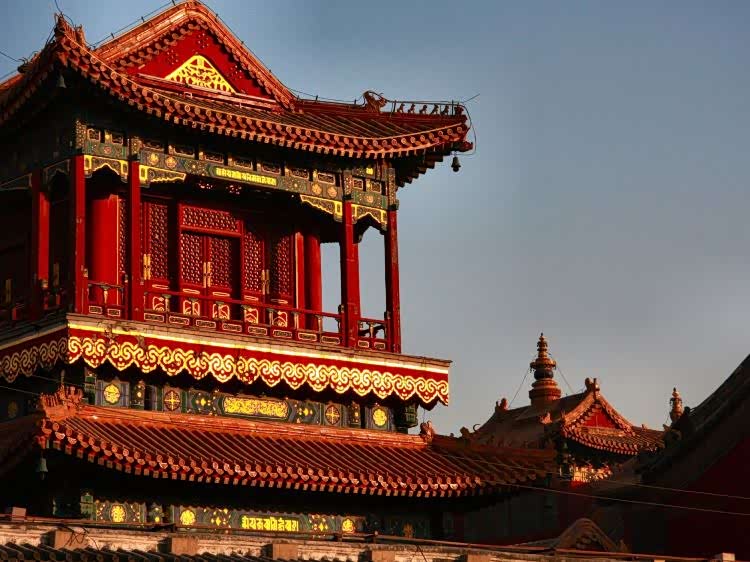 御花园是四季常青的园林景观,是古代供帝王后妃休息,游玩的地方