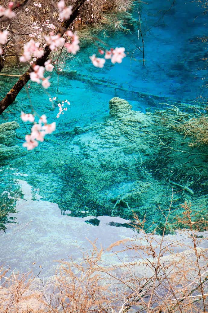 九寨沟的春天,美成了人间天堂 .