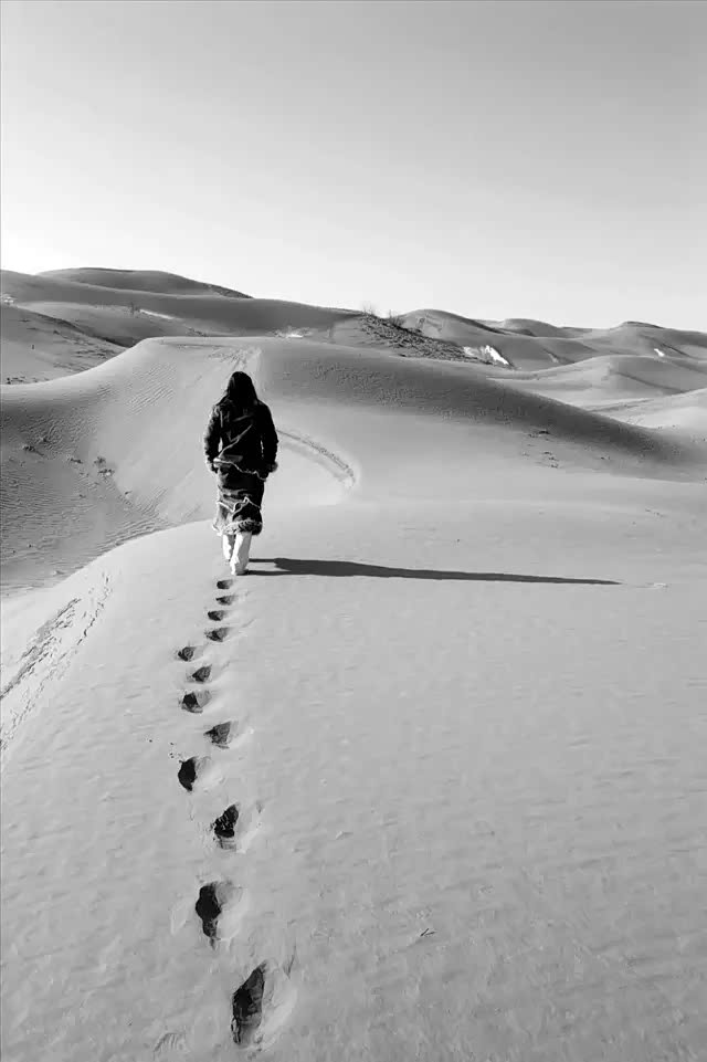 迷失的沙湖辽远而苍茫的西域地带充满着神秘和节奏
