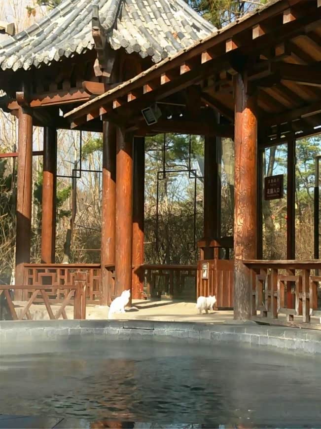 自驾75游金石滩唐风温泉好风景