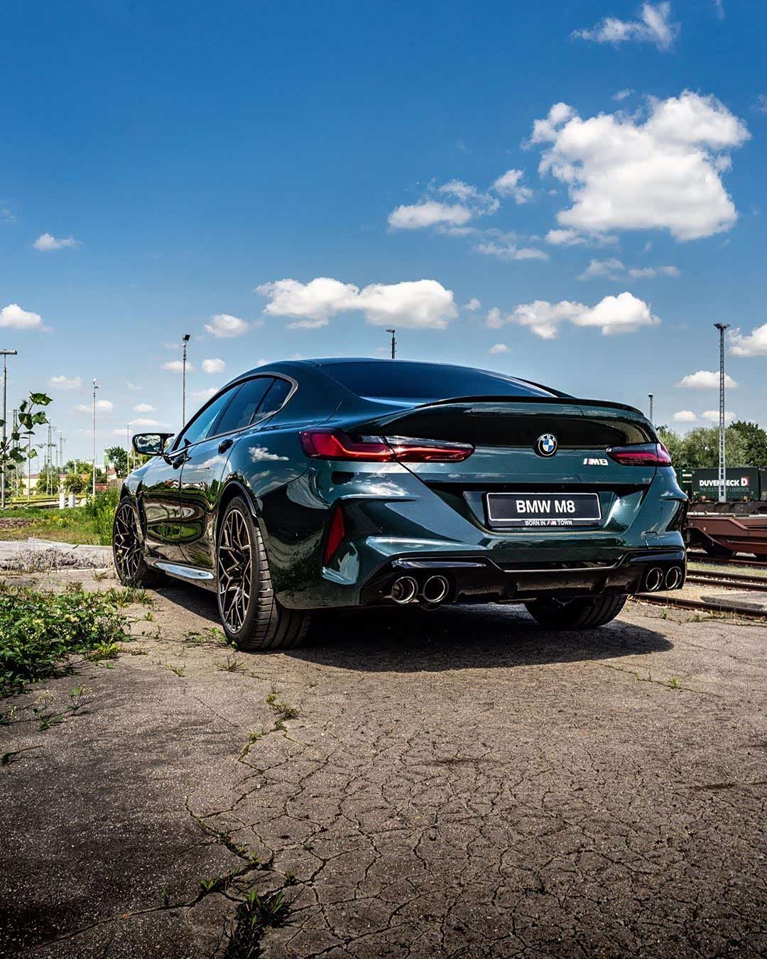 宝马m8 绿车身金轮毂,金鼻头真是太俏皮了