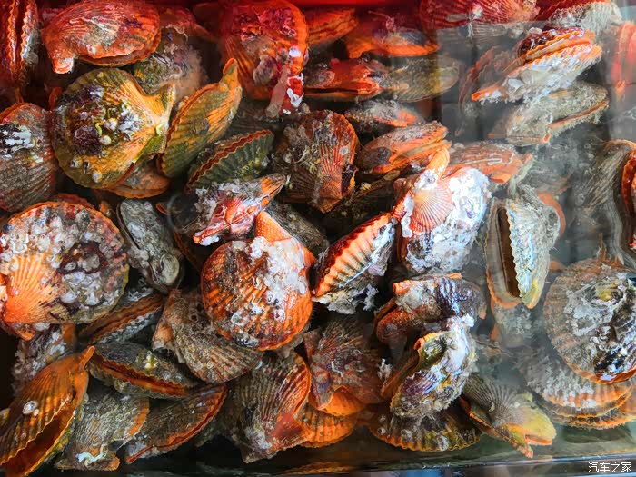 相聚惠州小桂码头 来到海边,大家的首选当然是要品尝一下那鲜美的海鲜