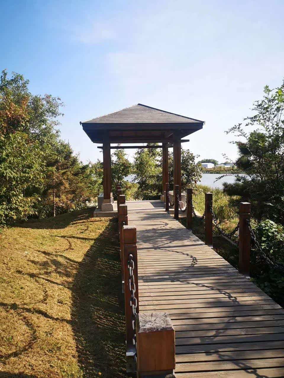 兴城市海河湿地公园,又以多彩的姿色迎来秋天的绚丽.