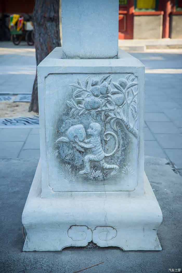 庙会承传统,祈福金猪年.——"白云观"的新春祈福