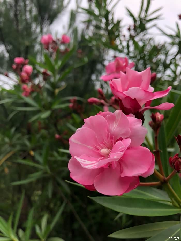 江南烟雨中,我和红娘子每天风雨同行