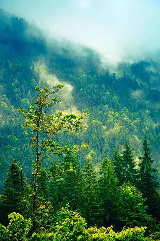平平静静,快快乐乐.心安,那也便是活着的最美好状态.