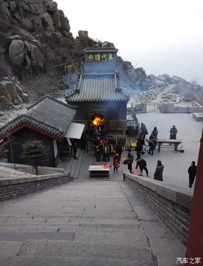 【金鼠送福】泰山行