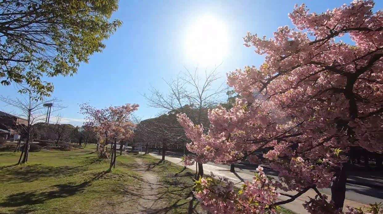 长居公园是一座大型综合公园