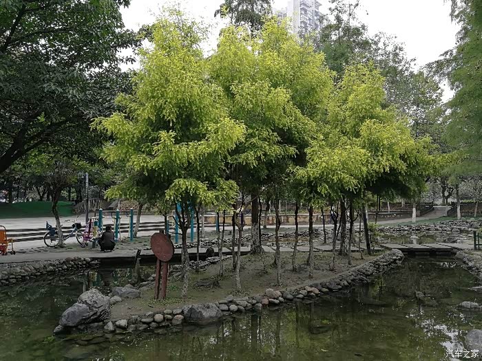 石犀运动公园走一遭