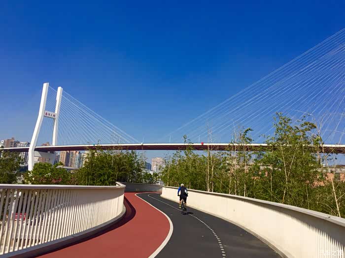 上海浦东滨江绿道骑行