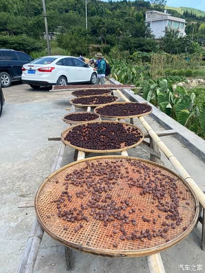 农家自己制作的李干,价格实惠很好吃