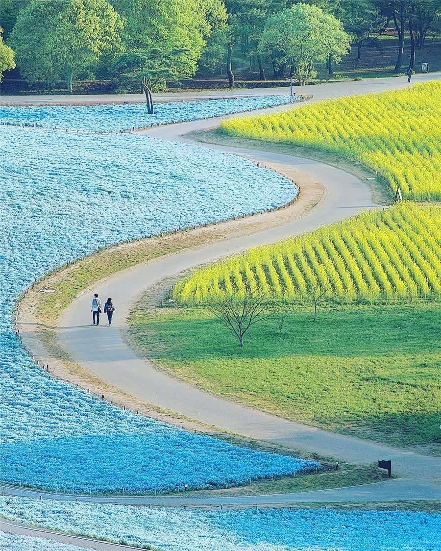 人生路虽曲折,却很美丽.只要细心观看,就能饱尝美景.