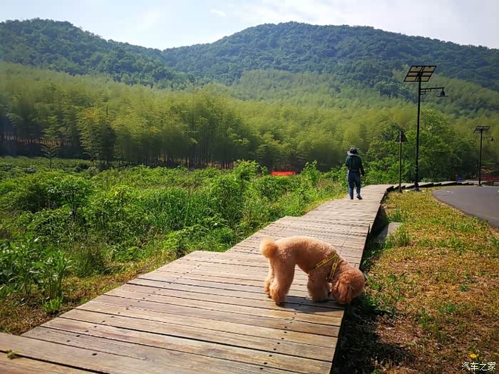 游溧水秋湖山 了解美丽的自然风光