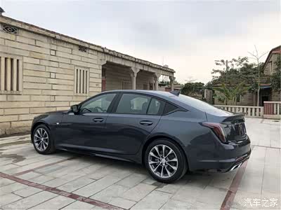 喜提奶奶灰,附带新手用车指南