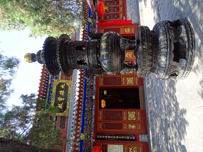 佛国禅林千秋事,西北第一不枉谈--夏游西安卧龙禅寺