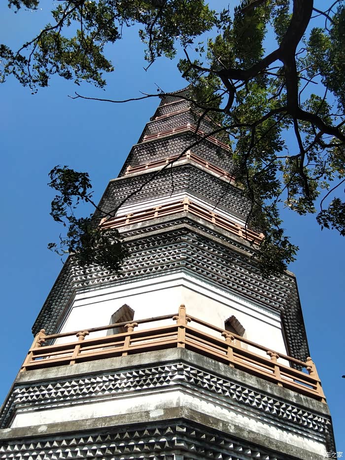 旋风战队参观榴花塔二