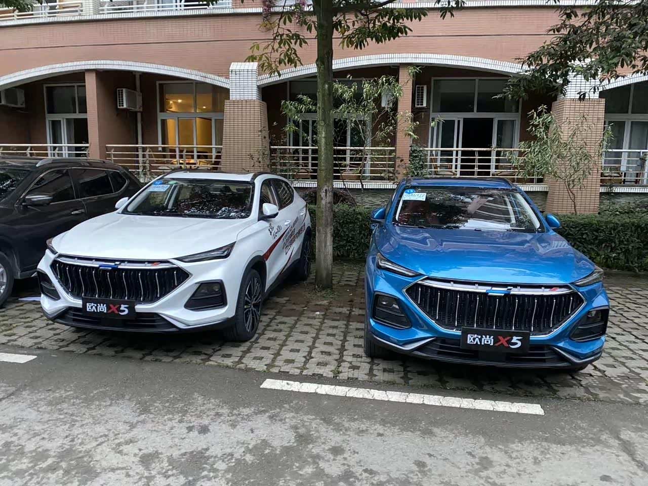 丰富的颜色选择,长安欧尚x5