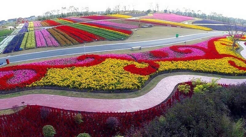 周浦花海一日游