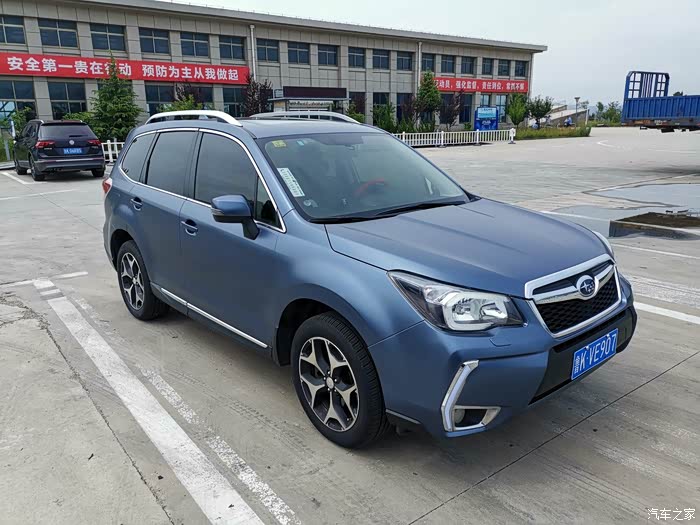 森林人改色的来个图