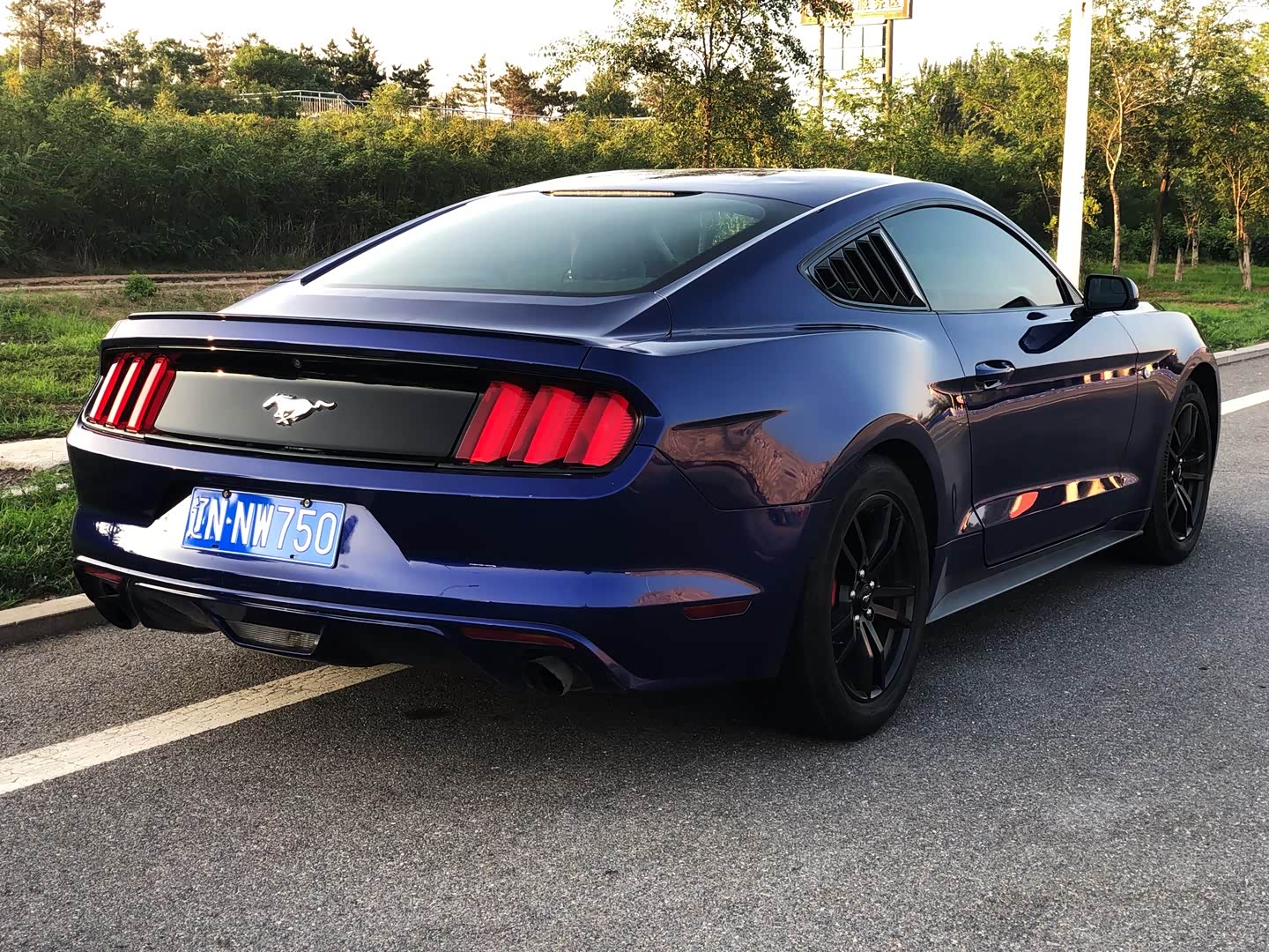 mustang mach-e(海外)论坛_汽车之家论坛