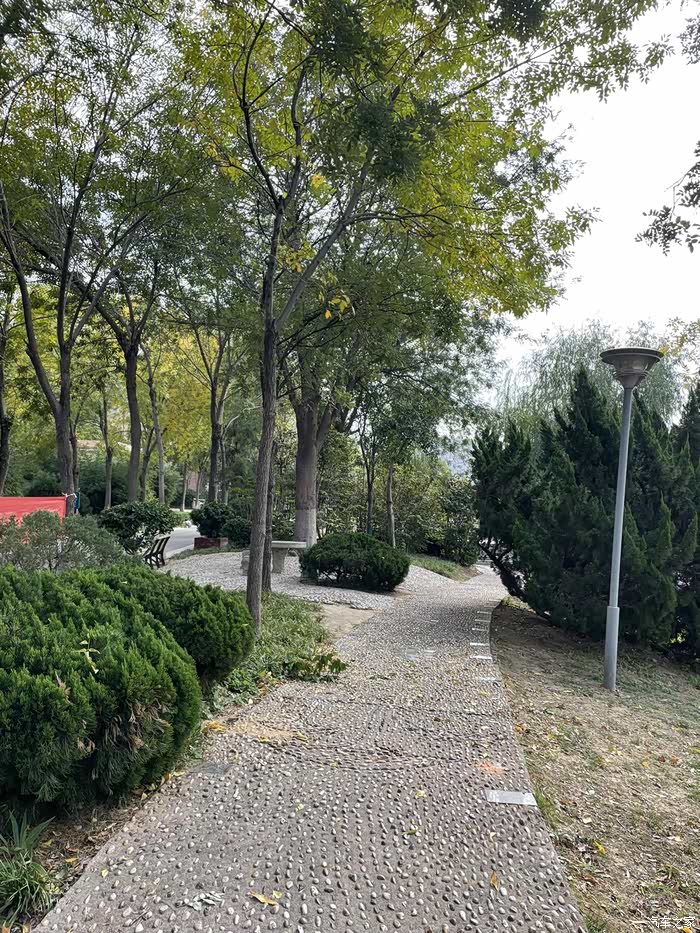 【图】星驰游记:秋日深度探索虞河公园_自驾游论坛_汽车之家论坛