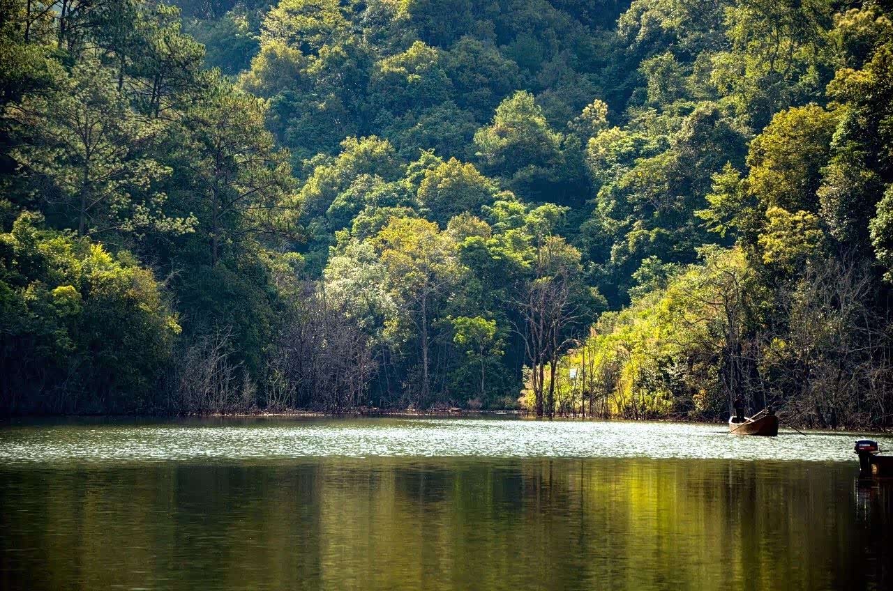 山水灵动四季温润绿野仙踪热带风情