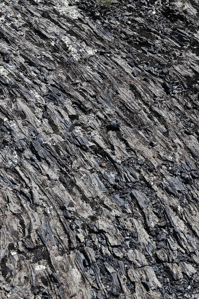 近距离感受火山岩的奇特景观