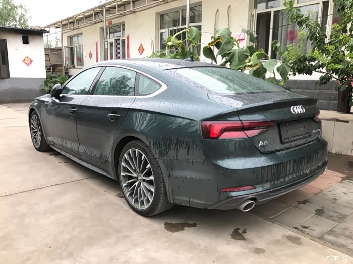 我的挚爱audi a5 sportback 45tfsi 哥特兰绿_奥迪a5论坛_汽车之家