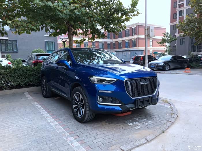 变异体篇之蓝色的羚羊在奔跑