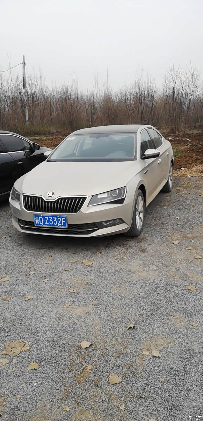 灰色最好,金色比较少而已