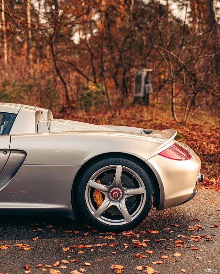 保时捷卡雷拉在落叶之中更美更加楚楚动人这就是我喜欢的