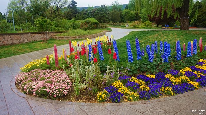 五一曬旅行日記跟著老婆全國遊北京篇國家植物園