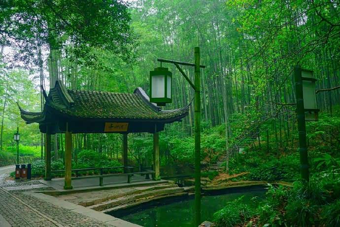 杭州云栖竹径,竹径通幽,诗意无尽!