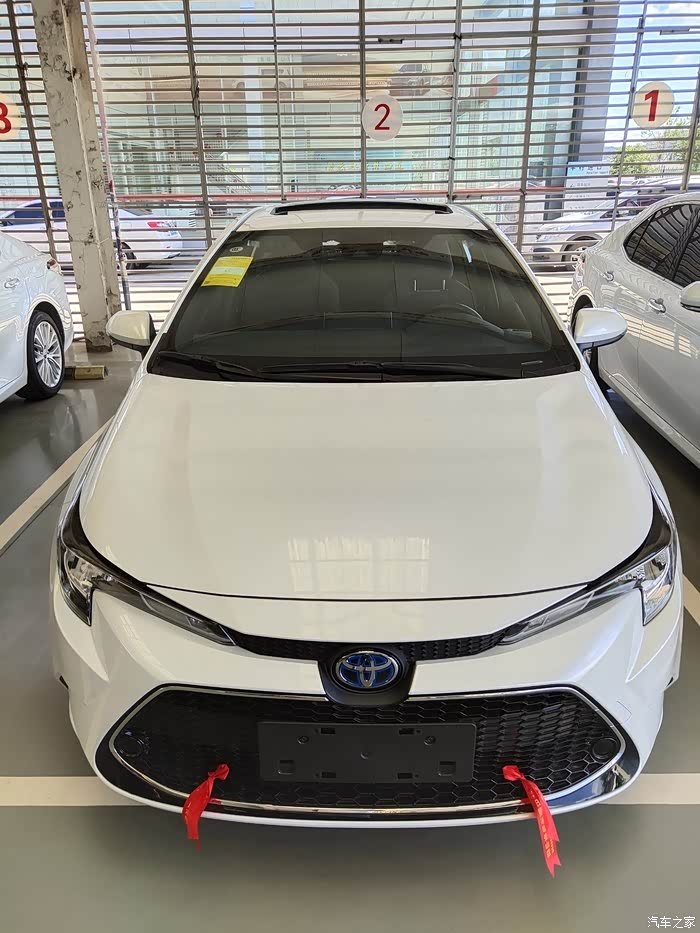 2021款豪华双擎 雷凌 珍珠白  喜提佳车!