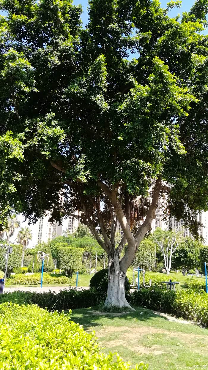 晋江市绿洲公园原名晋江人生态公园