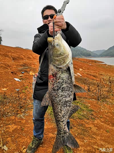 2019年最大的一条,铁板外挂的花鲢30多斤,102公分长.