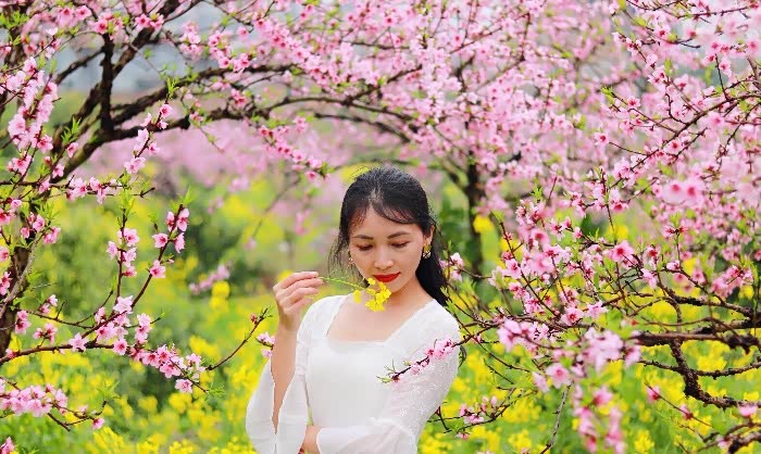 精 明媚三月春,遇见梅花谷里桃花源!