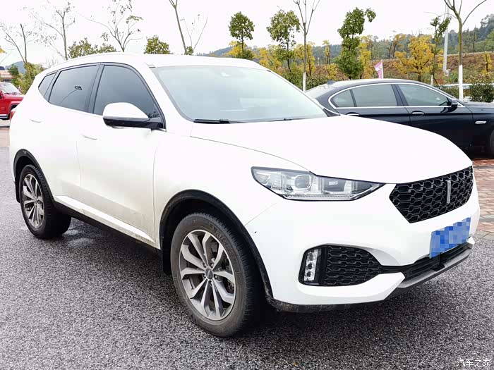 一城烟雨一楼台,一花只为一树开,浅谈VV6的语