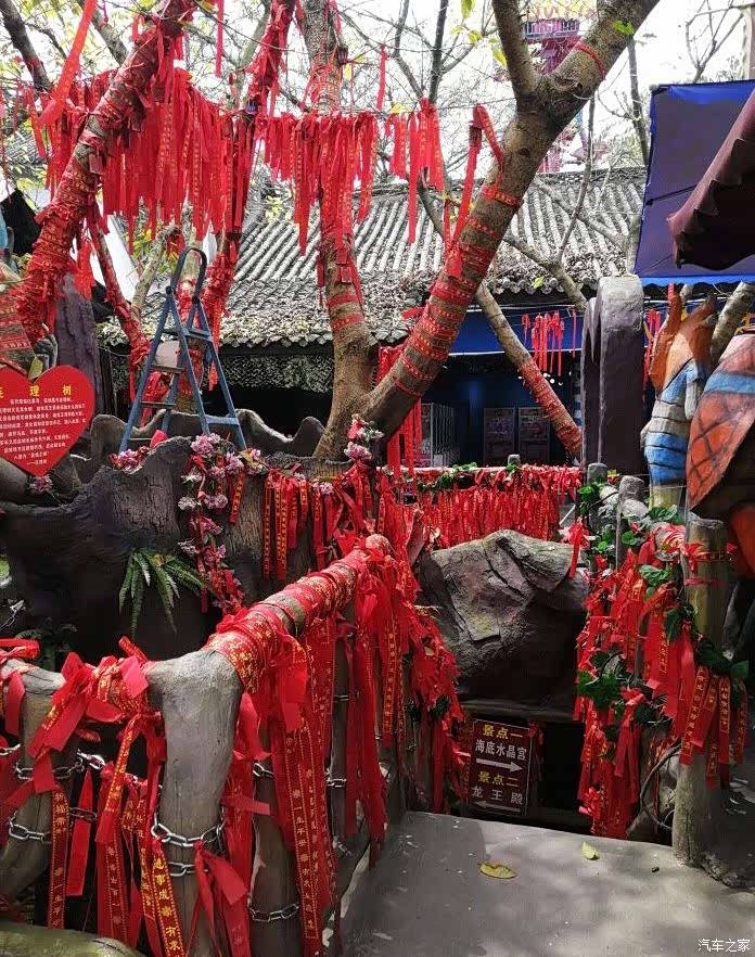 在天愿作比翼鸟,在愿为连理枝.