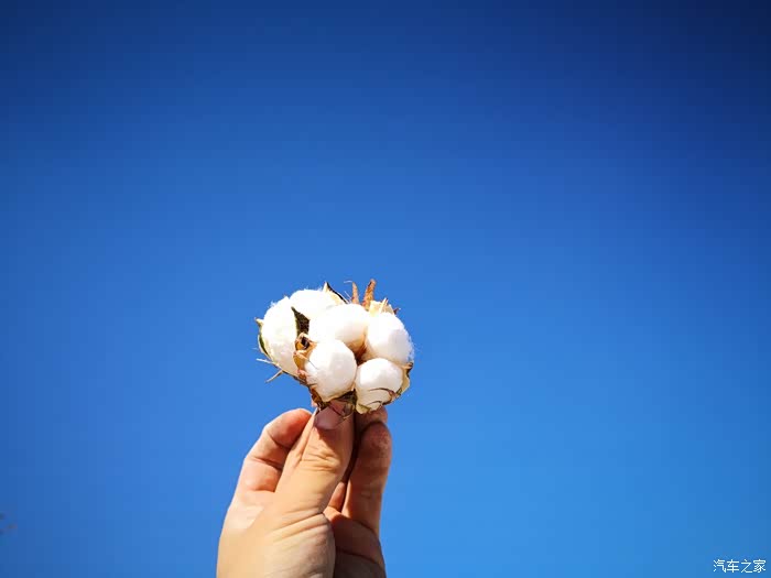 青春献给小酒桌-不青春献给大自然