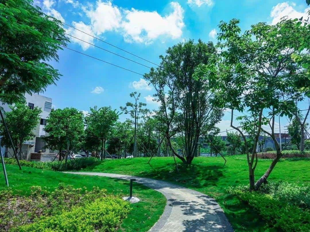 双城子古城是当地著名的一个古遗址气势雄浑